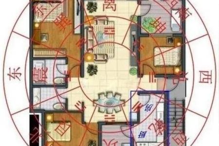 老房子里种什么好看风水