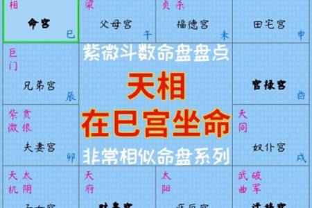 p11子女宫11-1#命理#紫微斗数#二十八宿#五星术