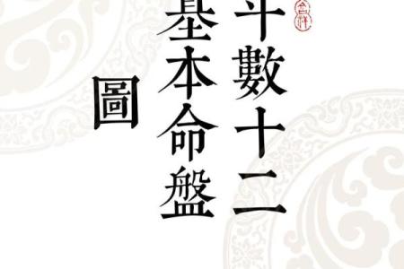 紫薇斗数命格下载