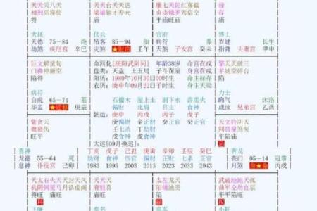 紫薇斗数appios版