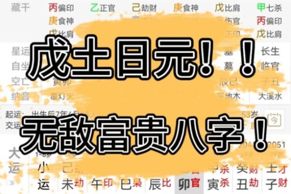 自带贵气的八字-日元身旺以财官为用神