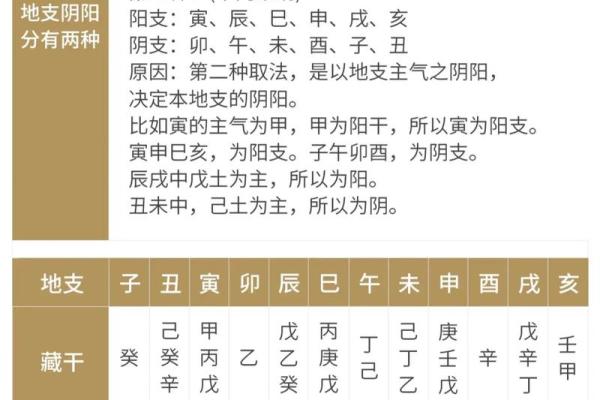 四柱命运：从四柱八字看命局富贵