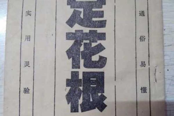 算命扎根是什么