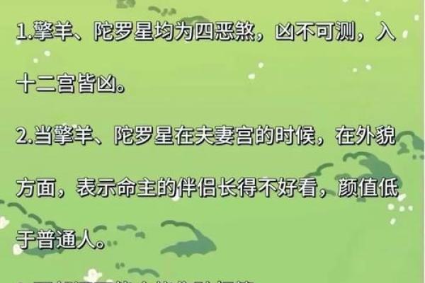 魏宏卿紫薇斗数的简单介绍