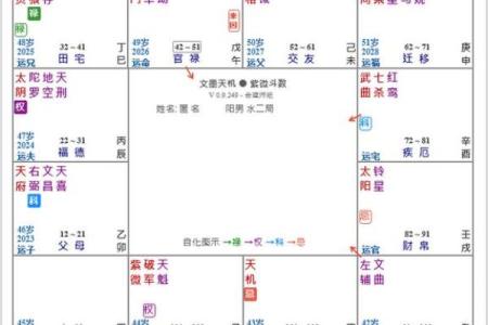 紫薇斗数的官禄宫
