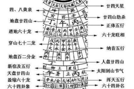 梅花占卜和紫薇斗数的区别