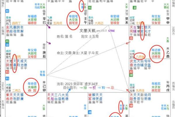 紫薇斗数巨门天喜在子女宫