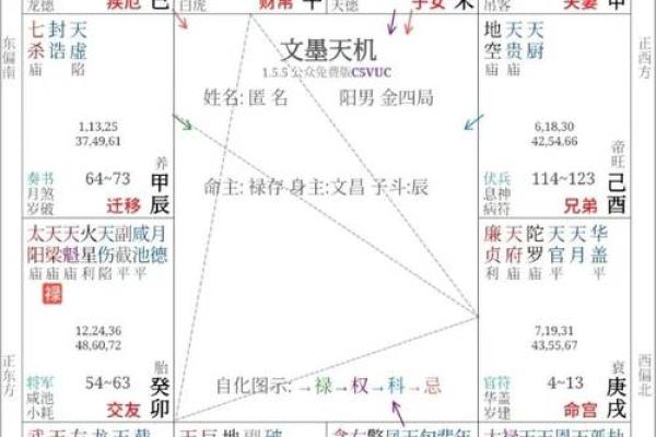 紫薇星盘斗数排盘