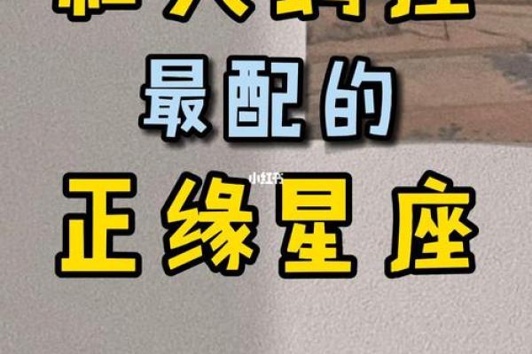 对天蝎座最好的星座是哪个
