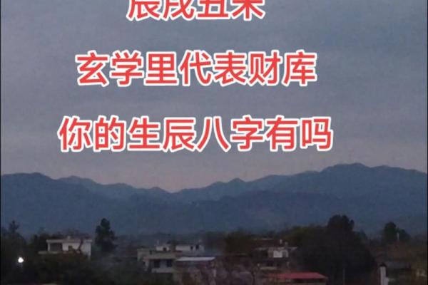 生辰八字财库是指什么
