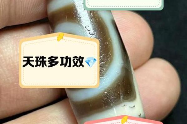 戴天珠的风水