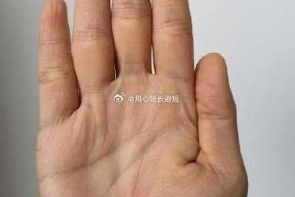 圆形手指算命