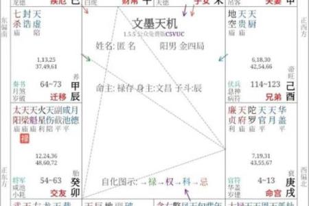 紫薇星盘斗数排盘