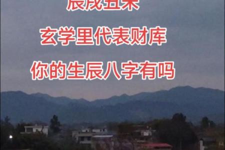 生辰八字财库是指什么