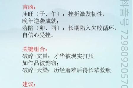 紫薇斗数破格是什么意思