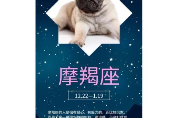12星座摩羯座适合养什么狗