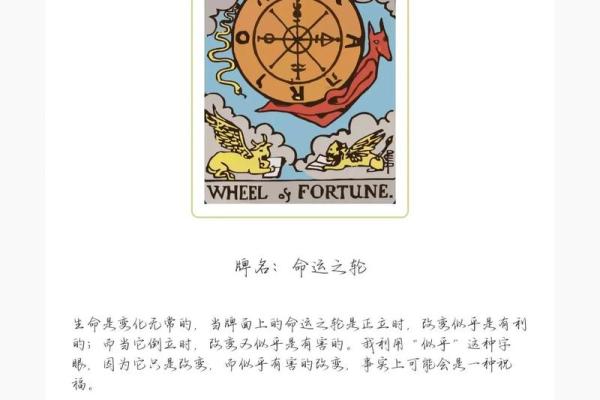 超准塔罗测试 测测2024年你哪方面运势好到开挂