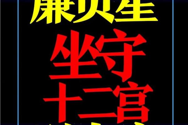 紫薇斗数中哪些属于财星