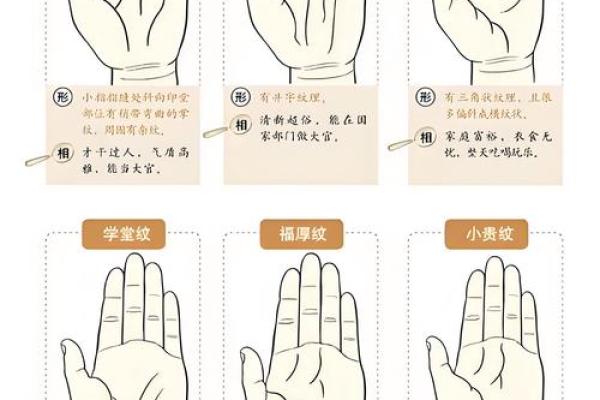 看指纹算命