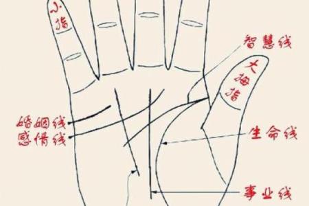 图解;手相赌运纹算命