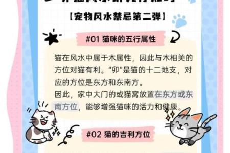 家里如何建个猫房子呢风水