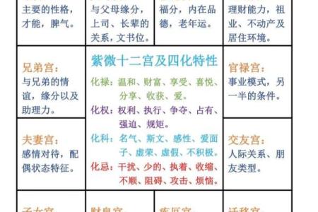 紫薇斗数解释