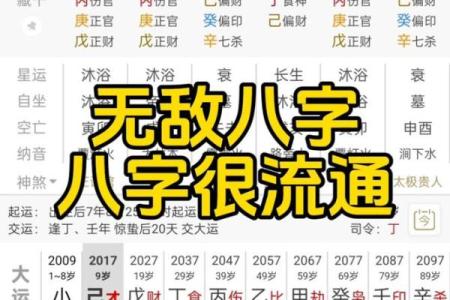 八字txt