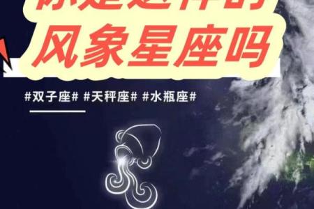 风象星座的人会互相吸引吗