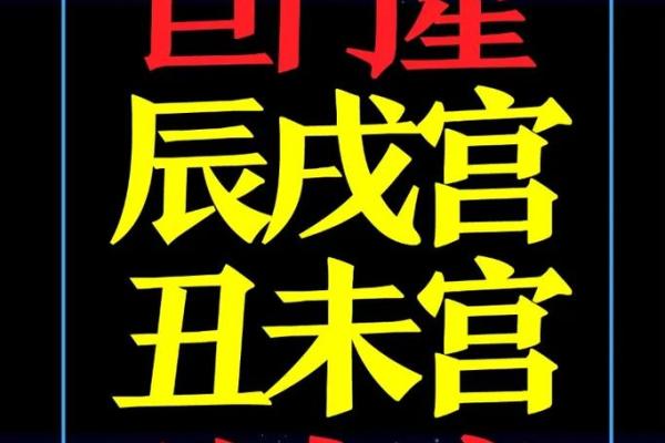 紫薇斗数开车撞人