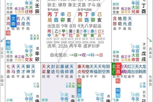 紫薇斗数健康