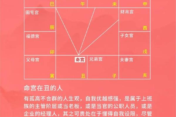 紫微斗数之:论疾厄 紫微斗数之:论疾厄