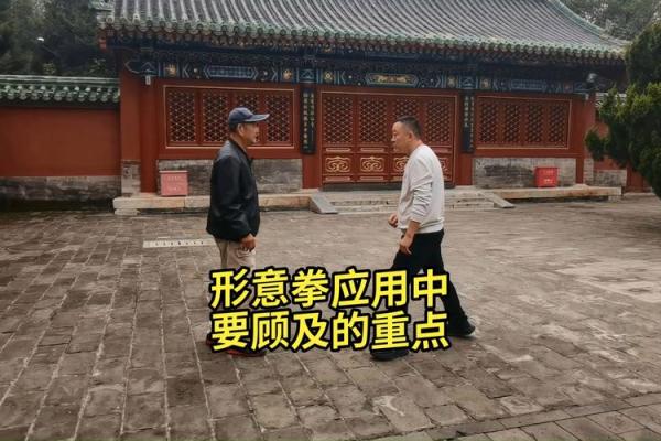 形意拳法——八字功