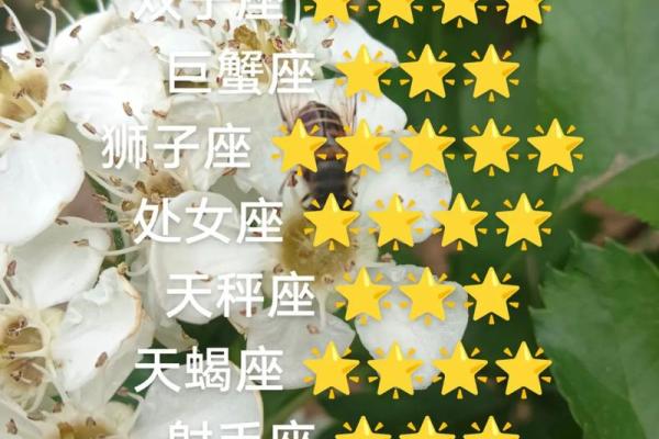 2022下半年综合运势最顺遂的前3名星座！