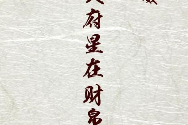 紫薇斗数财昂