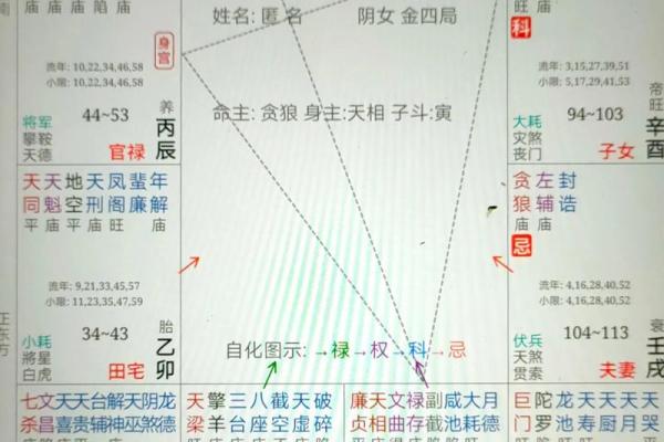 紫薇斗数忌在身宫文昌的简单介绍