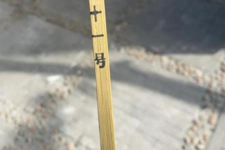 大德妈祖灵签9号签