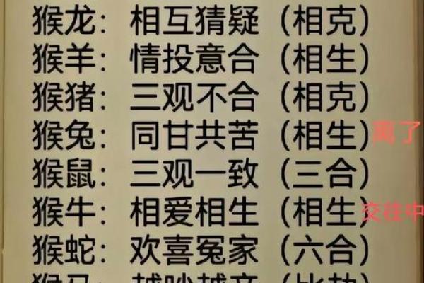 算婚姻属鼠男和属猴女八字相合吗 婚姻好吗