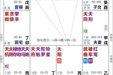 紫薇斗数看男女