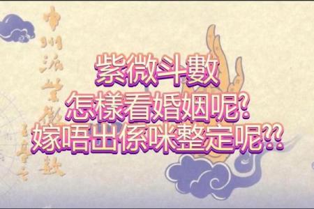 紫微斗数嫁 紫微斗数嫁二婚男？