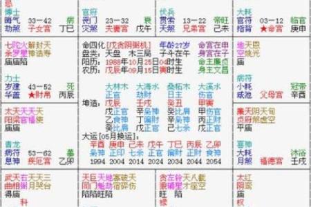 紫薇斗数看文采