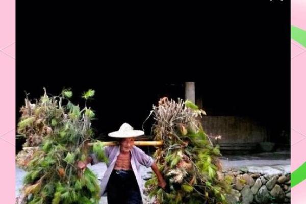 挑担房子风水怎么破解