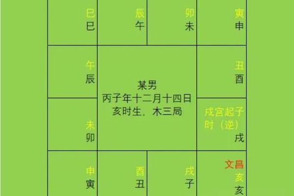 紫薇斗数排盘易安