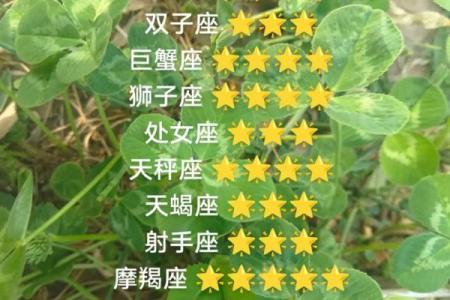 属羊的每个月星座运势如何