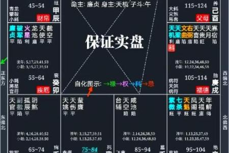 紫微星入命宫与其他星曜之关系分析#紫微斗数教学