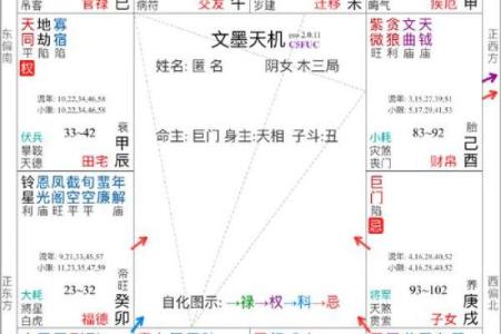 斗数紫薇阁