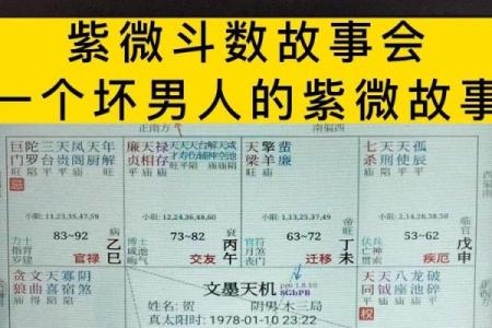 紫薇斗数有啥故事么