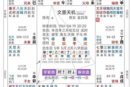 倪海厦天纪紫薇斗数排盘