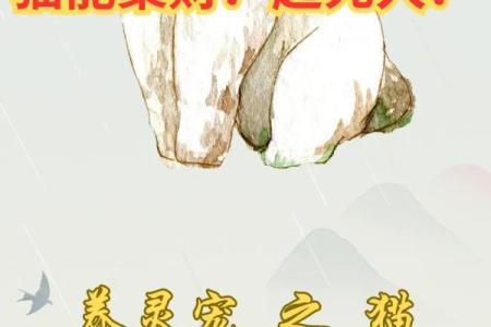 风水上哪几个生肖的人不能养猫禁忌