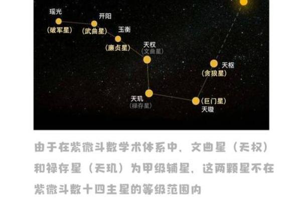 国学研究所紫微斗数记录 紫微星国学？