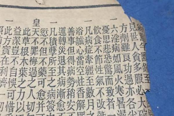 吕祖灵签野草闲花